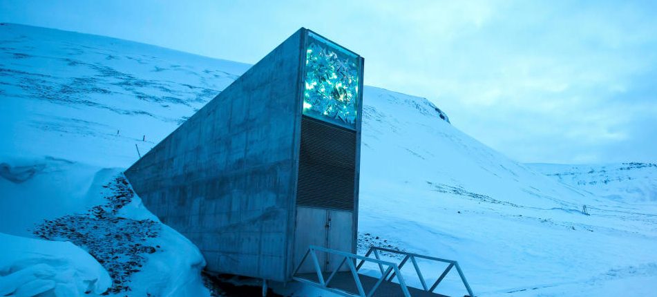 Arctic Seed Vault primește 60.000 de semințe 
