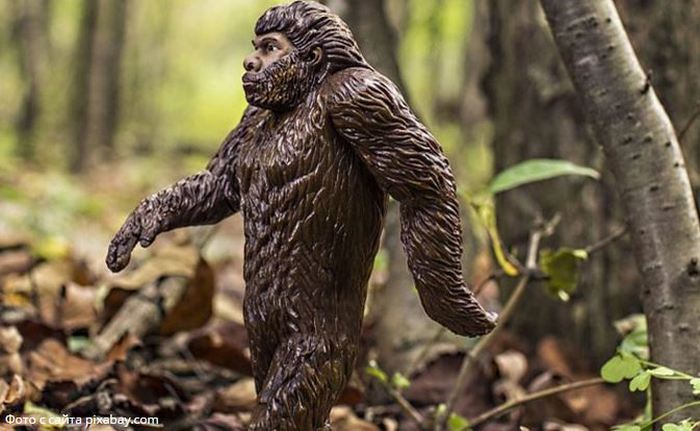 Bigfoot a fost reperat în două locuri din Rusia simultan